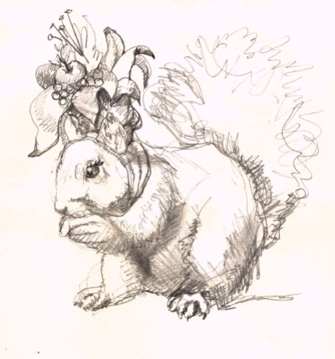 drawing for tropical squirrel