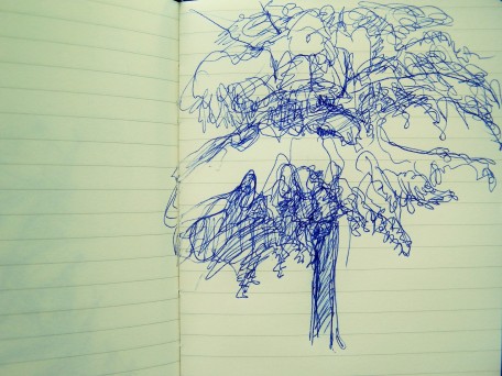 tree sketch in pen